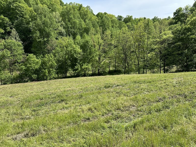 0 Massey Hollow Rd, Elmwood, TN 38560