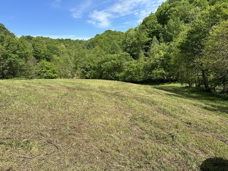 0 Massey Hollow Rd, Elmwood, TN 38560