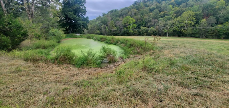 0 Kemp Hollow Rd, Pleasant Shade, TN 37145
