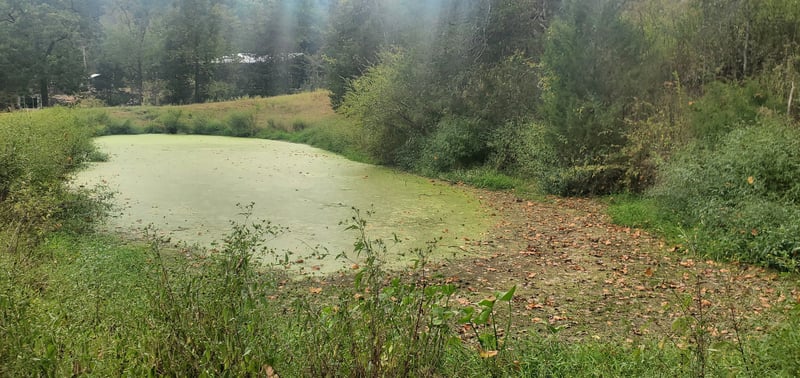 0 Kemp Hollow Rd, Pleasant Shade, TN 37145