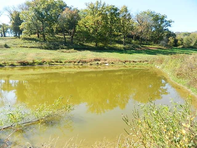 1 Flat Creek Rd, College Grove, TN 37046