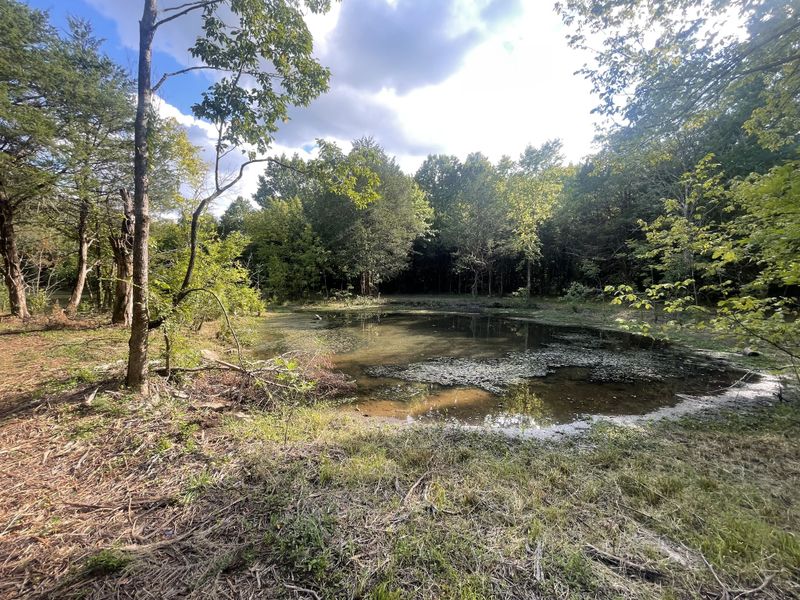 0 Atkinson, Lebanon, TN 37090