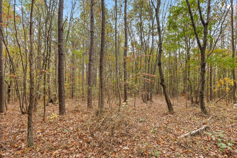 0 Woods Rd, Tunnel Hill, GA 30755