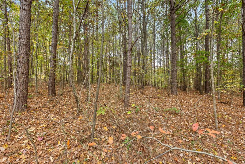 0 Woods Rd, Tunnel Hill, GA 30755