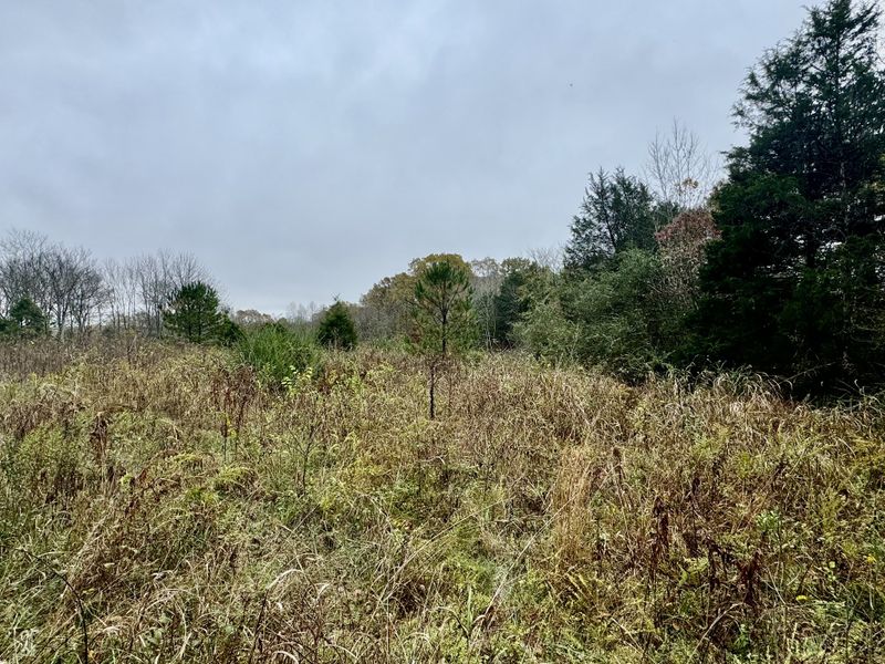 0 Dug Hill, Burns, TN 37029
