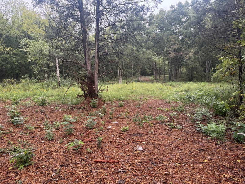 0 Flat Rock Rd, Murfreesboro, TN 37130