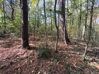 0 Ryman Ridge Rd, Dalton, GA 30720