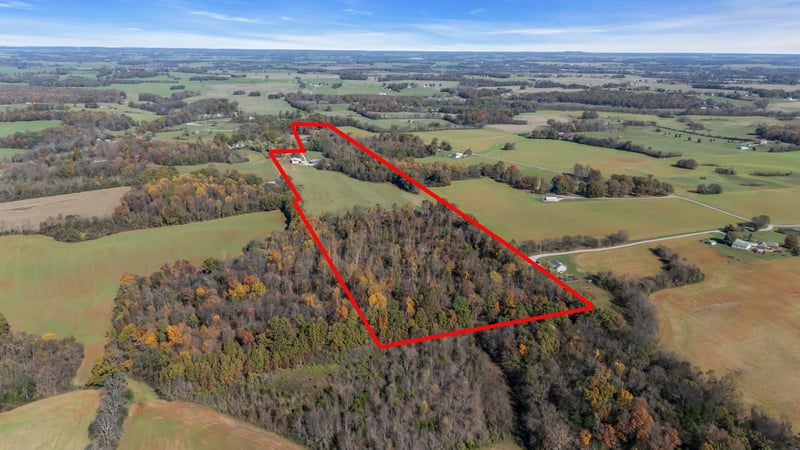 4466 Gunn Rd, Springfield, TN 37172