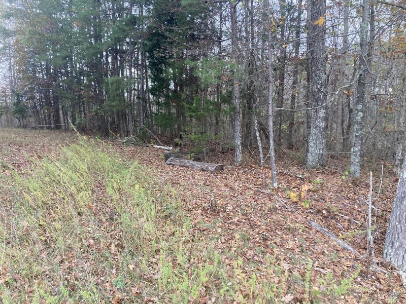 0 New Home Loop Rd, Trenton, GA 30752