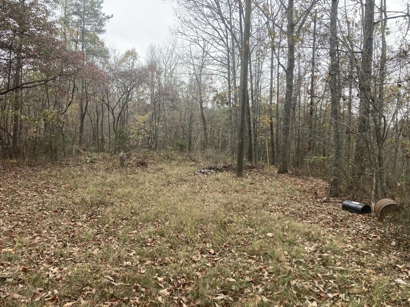 0 New Home Loop Rd, Trenton, GA 30752