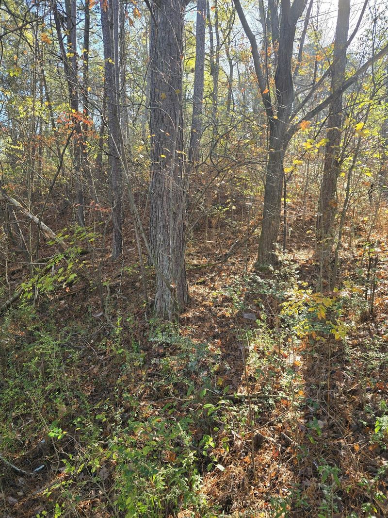 46 Whittemore Hollow Rd, Ringgold, GA 30736