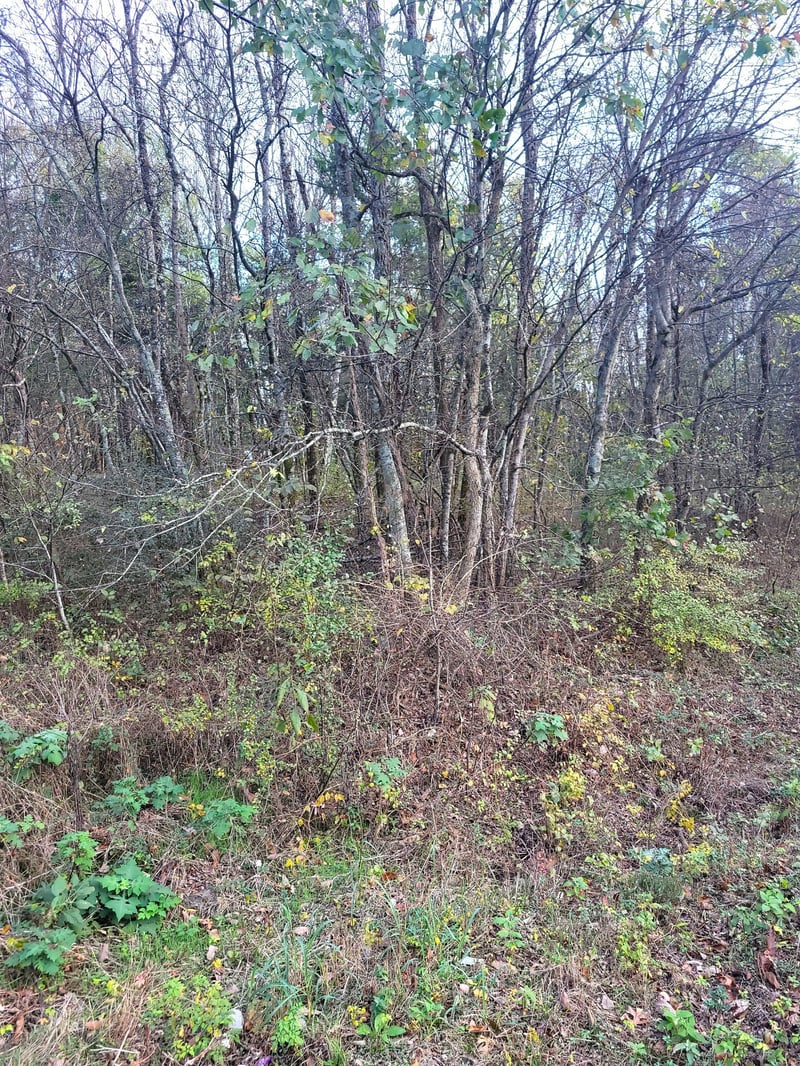 0 Barlow Ln, Lascassas, TN 37085