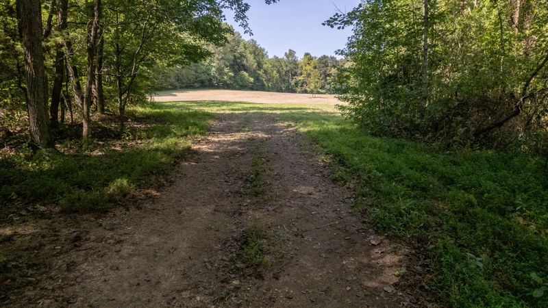 0 Scott Hollow Rd, Charlotte, TN 37036