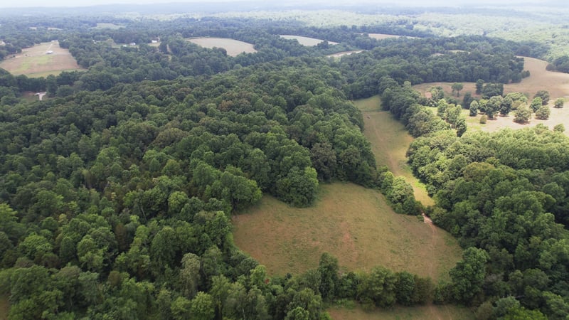 2331 Pleasant Grove Rd, Westmoreland, TN 37186