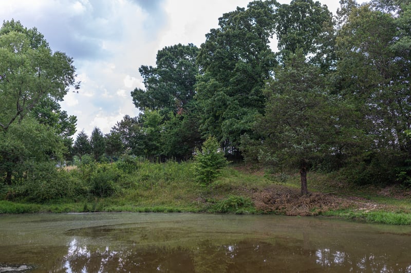 2331 Pleasant Grove Rd, Westmoreland, TN 37186