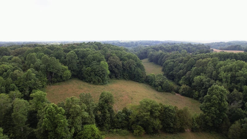 2331 Pleasant Grove Rd, Westmoreland, TN 37186