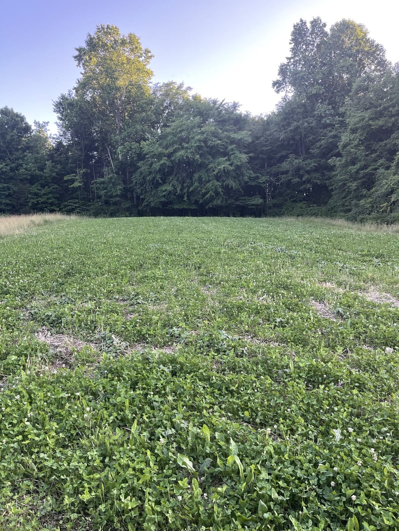 2331 Pleasant Grove Rd, Westmoreland, TN 37186
