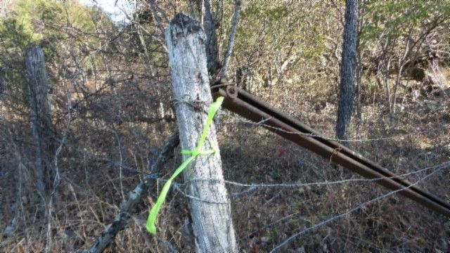 0 Macedoina Rd, Castalian Springs, TN 37031
