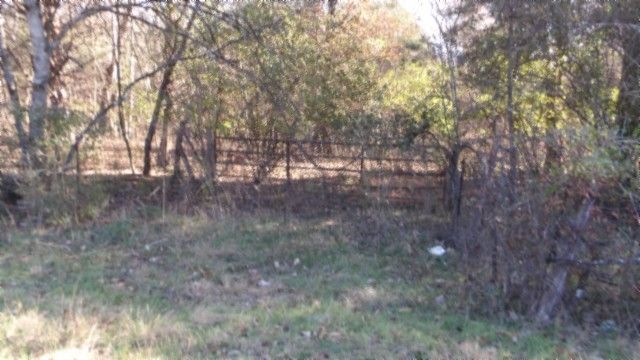 0 Macedoina Rd, Castalian Springs, TN 37031