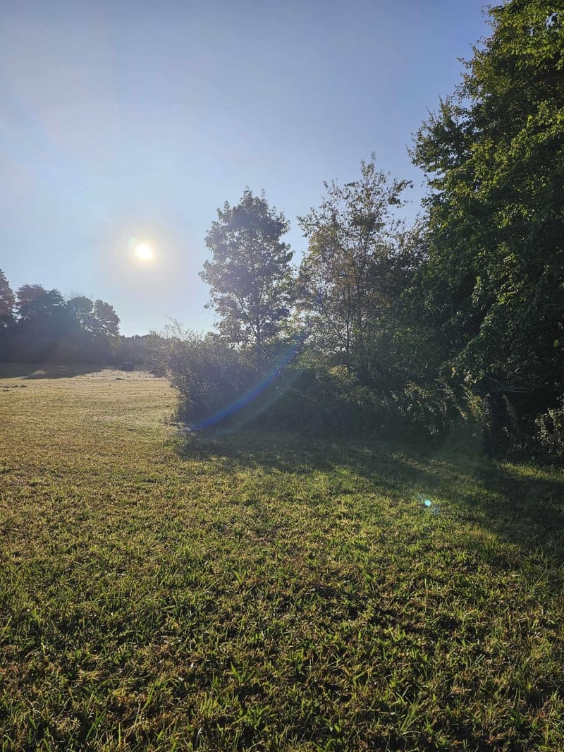 0 County Road 93, Bryant, AL 35958