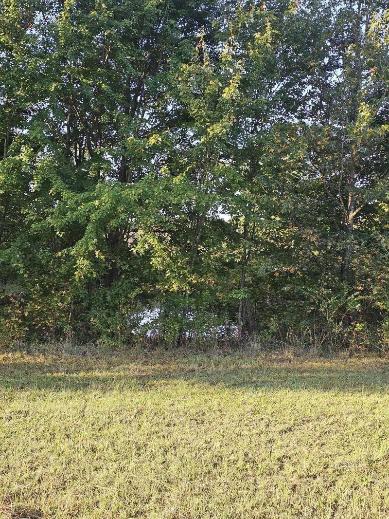 0 County Road 93, Bryant, AL 35958
