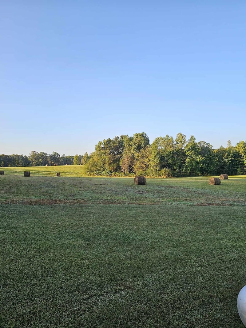 0 County Road 93, Bryant, AL 35958