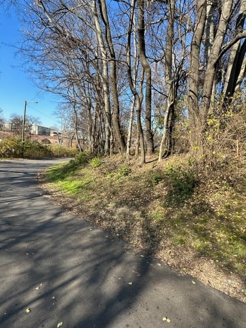1002 Ozark St SW Lot #1, Nashville, TN 37206