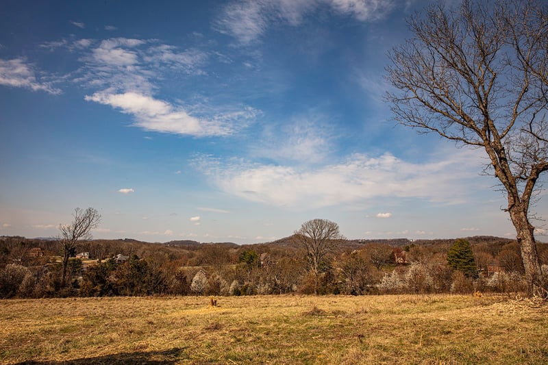9441 Clovercroft Rd, Franklin, TN 37067