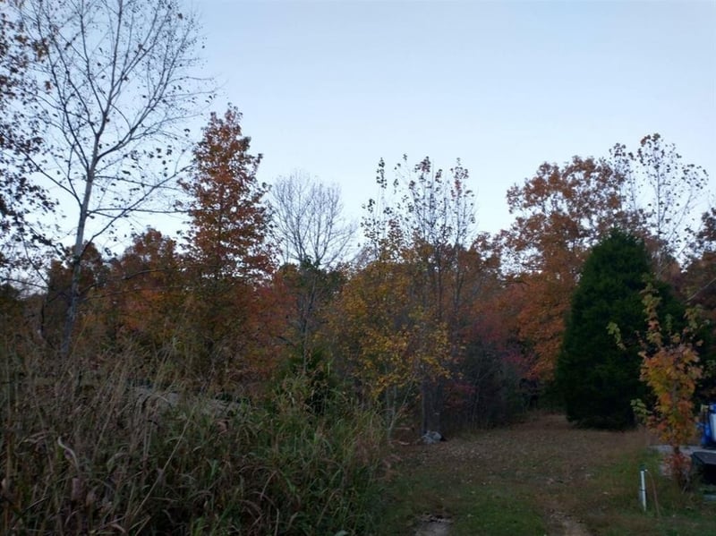 0 Little Marrowbone Rd, Ashland City, TN 37015