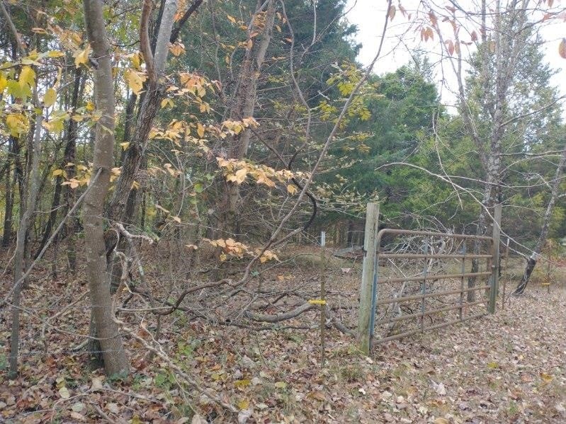 0 Little Marrowbone Rd, Ashland City, TN 37015