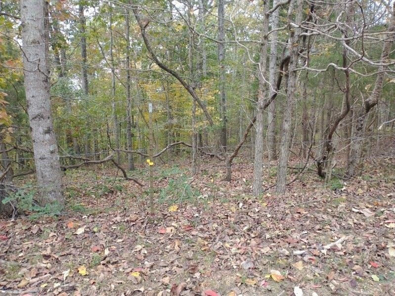 0 Little Marrowbone Rd, Ashland City, TN 37015