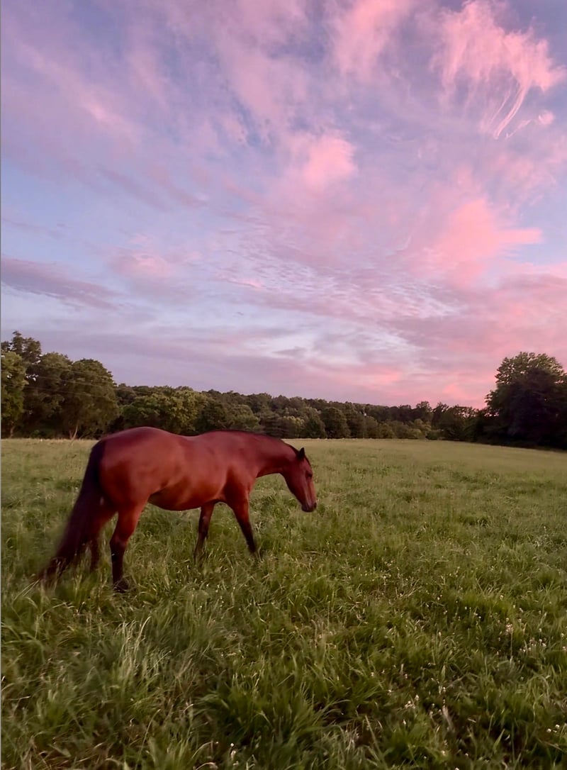0 Nolensville Rd Lot 2, Arrington, TN 37014