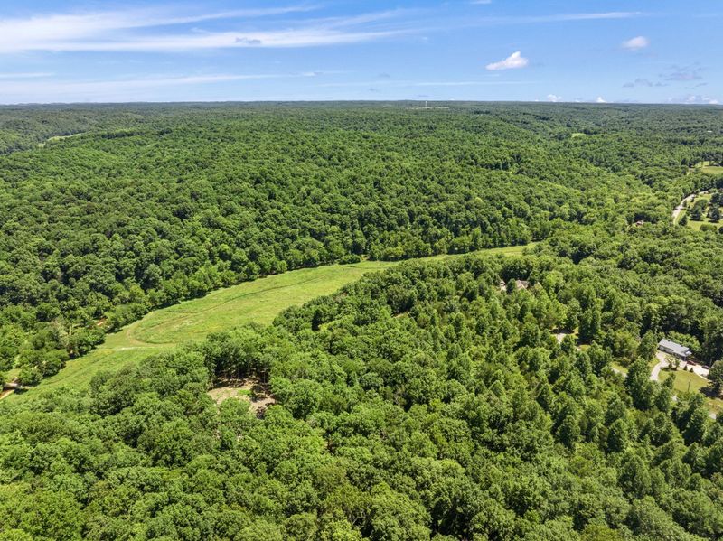 7131 Songbird Springs Ln, Franklin, TN 37064