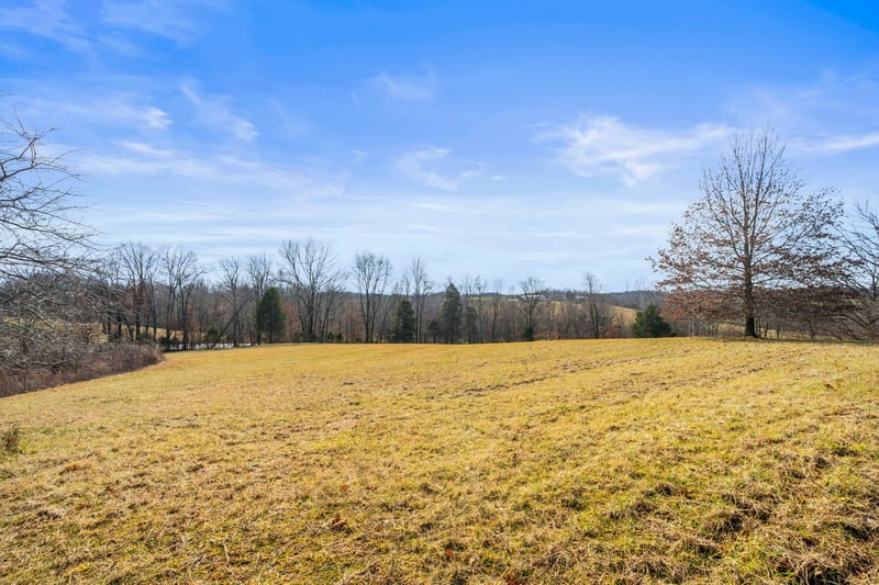 0 Buzzard Creek Rd, Cedar Hill, TN 37032