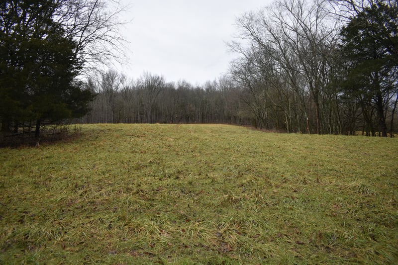 0 Dyers Branch Rd, Gordonsville, TN 38563