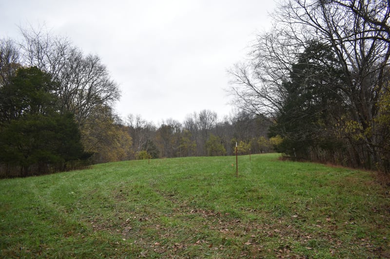 0 Dyers Branch Rd, Gordonsville, TN 38563