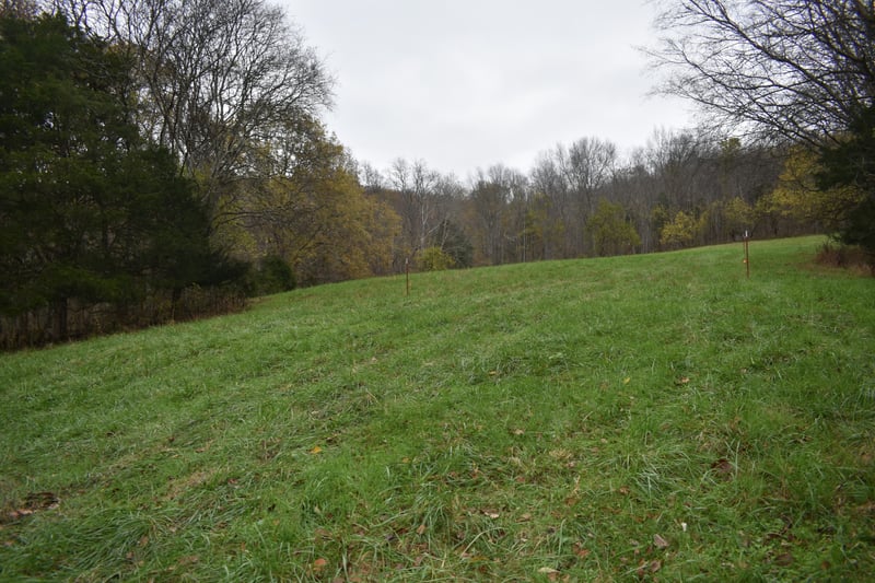 0 Dyers Branch Rd, Gordonsville, TN 38563