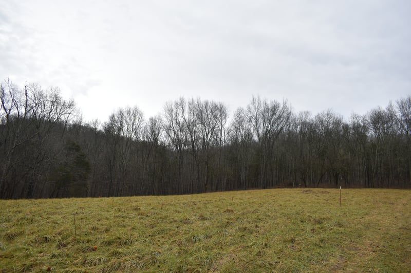 0 Dyers Branch Rd, Gordonsville, TN 38563