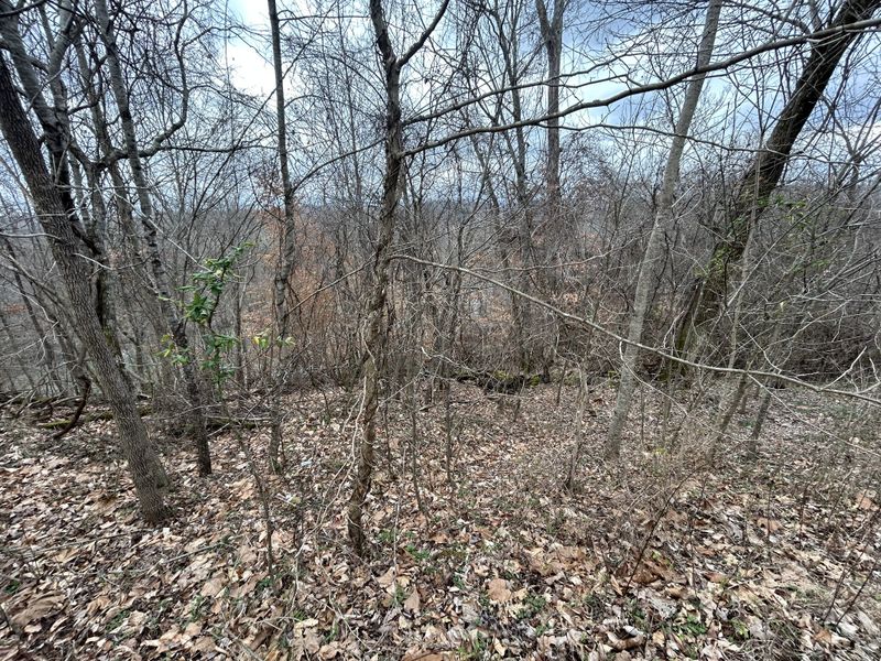 0 Walker Dr, Charlotte, TN 37036