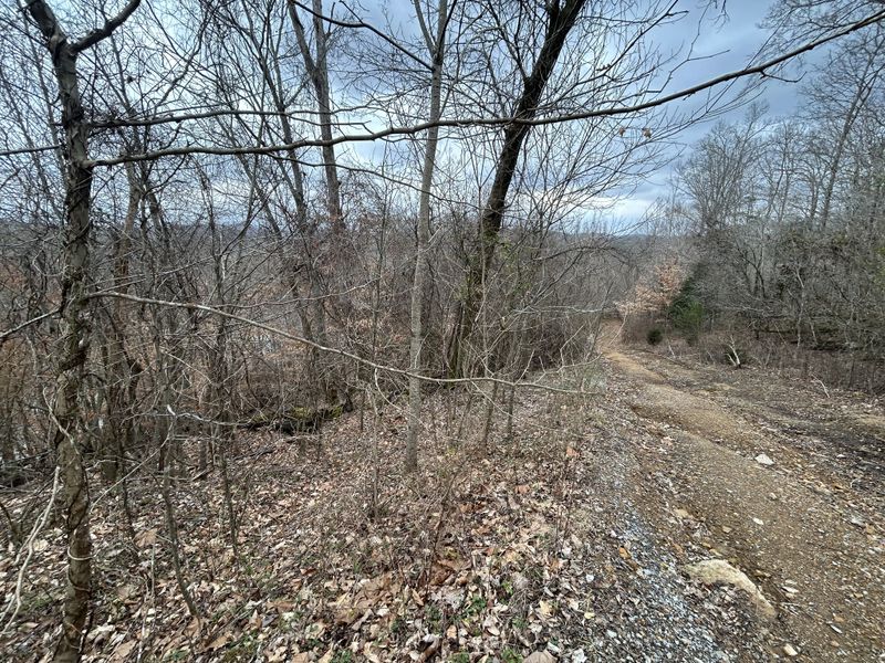 0 Walker Dr, Charlotte, TN 37036