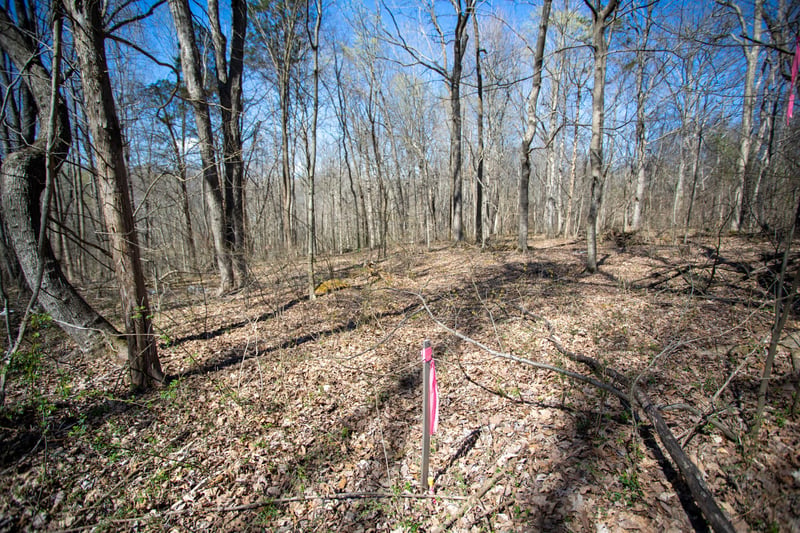 0 Cedar Grove Rd, Cross Plains, TN 37049