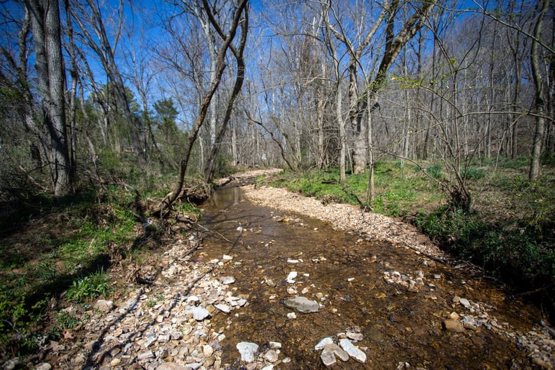0 Cedar Grove Rd, Cross Plains, TN 37049