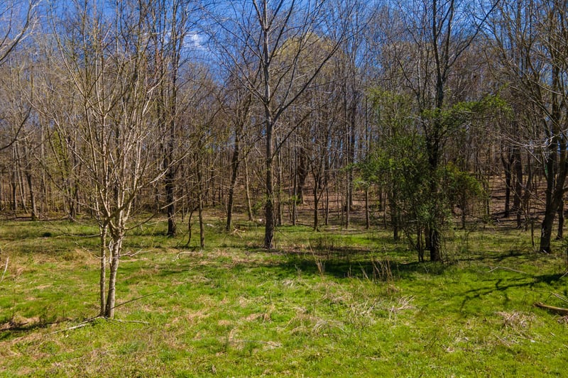 0 Cedar Grove Rd, Cross Plains, TN 37049