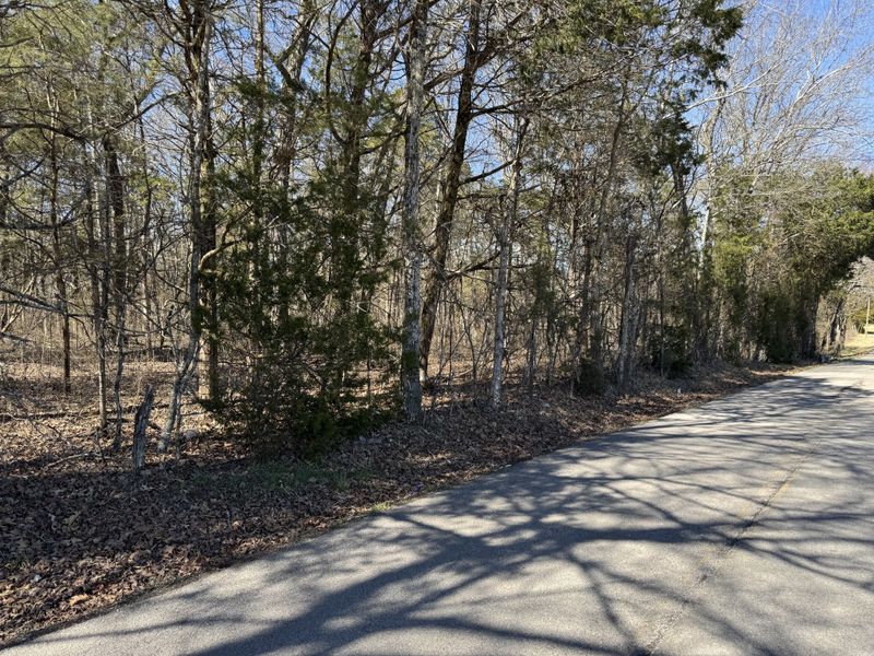 0 Canoe Branch Rd, Castalian Springs, TN 37031