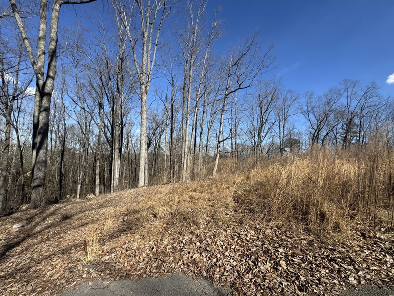 37 Village Dr, Cohutta, GA 30710