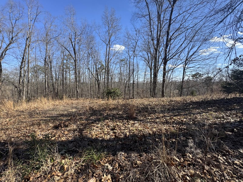 37 Village Dr, Cohutta, GA 30710