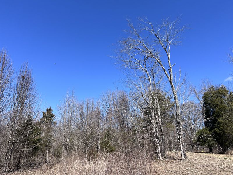 6732 Clarksville Pike, Joelton, TN 37080