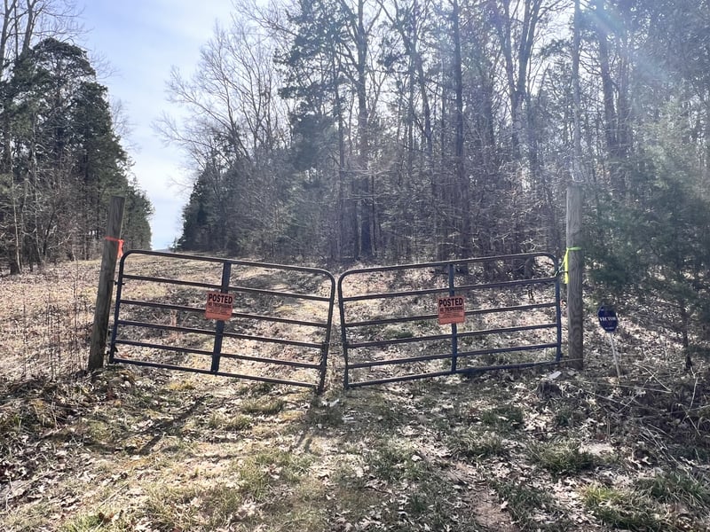 1 Browns Mill Rd, Lascassas, TN 37085