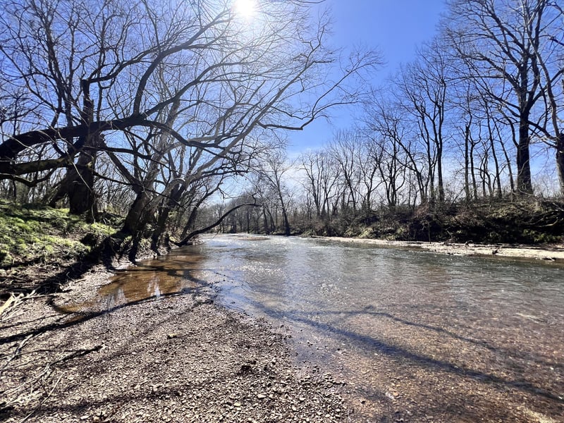 1 Browns Mill Rd, Lascassas, TN 37085