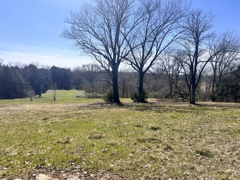 1 Browns Mill Rd, Lascassas, TN 37085
